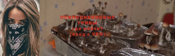 ГАЛЛЮЦИНОГЕННЫЕ ГРИБЫ Алексеевка