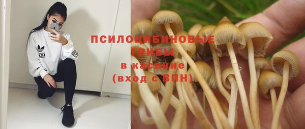 ГАЛЛЮЦИНОГЕННЫЕ ГРИБЫ Алексеевка