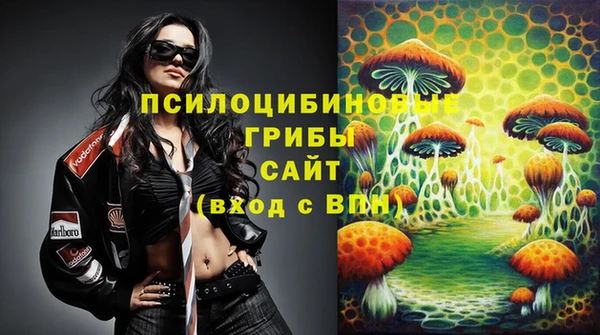 ГАЛЛЮЦИНОГЕННЫЕ ГРИБЫ Алексеевка